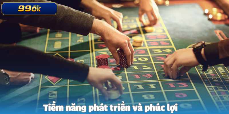 Tuyển dụng chuyên viên SEO Onpage/Offpage 4 Tiềm năng phát triển và phúc lợi