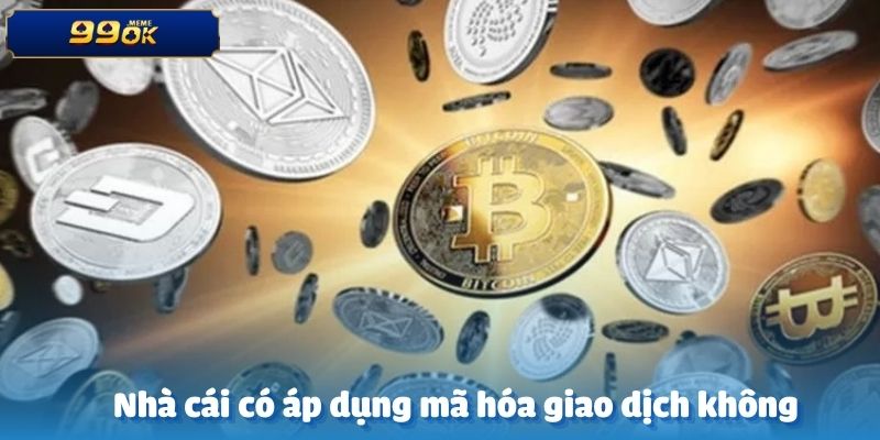 Nhà Cái Có Áp Dụng Mã Hóa Giao Dịch Không - Tìm Hiểu Ngay 1 mã hóa giao dịch